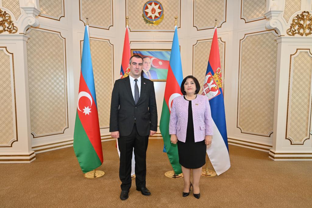 Milli Majlis Speaker Sahiba Gafarova Meets with Chairman of National Assembly of Republic of Serbia